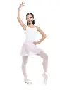 5293.webp